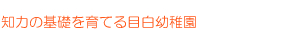 知力を育てる目白幼稚園